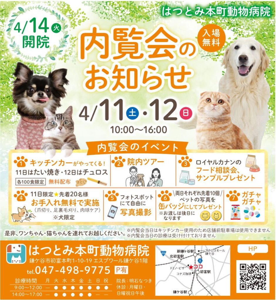 内覧会のお知らせパンフレット